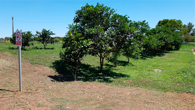 Programa de reforestación interna